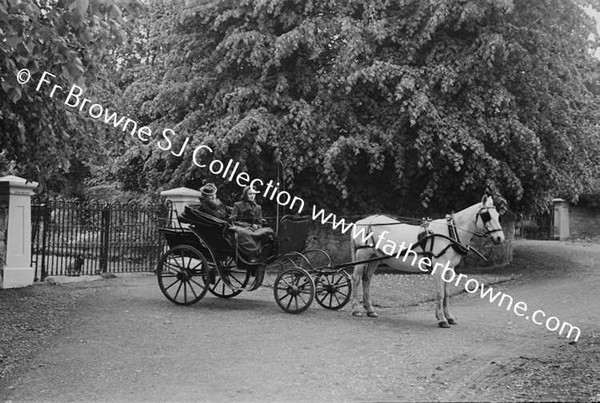 MRS FRANK LILLIS WITH MARY IN PHAETON